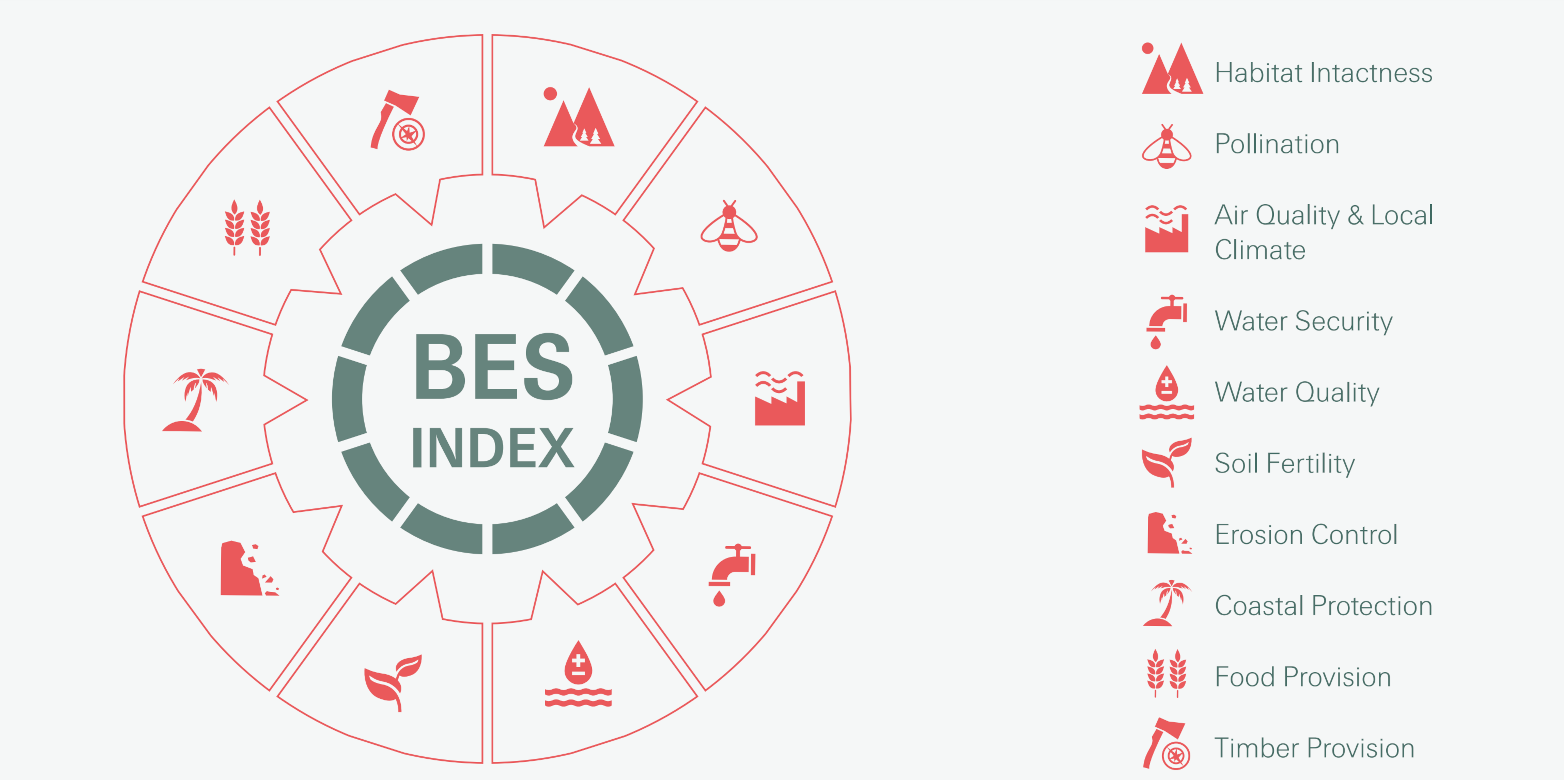 Enlarged view: Ecosystem services identified based on re/insurance business relevance and data availability (Source: Swiss Re Institute)