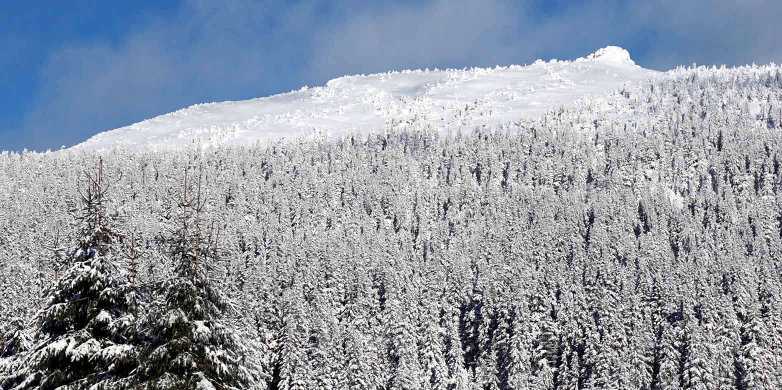 Vergrösserte Ansicht: Winterlandschaft ( CC-BY 4.0 / o-media)